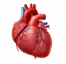 Heart Care
