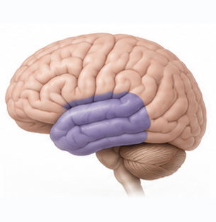 Neurology Care