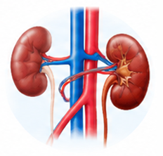 Urology Care