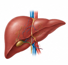 Gastro Care