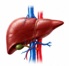 Transplant Care