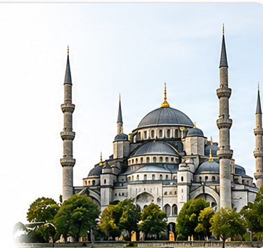Turkey spine care